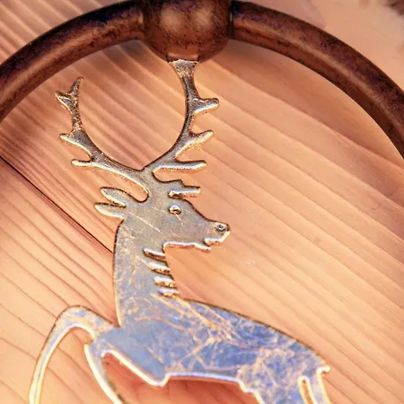 Haus Niklehen Nocleg ze śniadaniem Hüttschlag